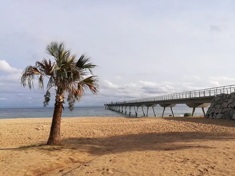 Playa de arena con una palmera y el puente del Petróleo adentrándose en el mar, con cielo parcialmente nublado